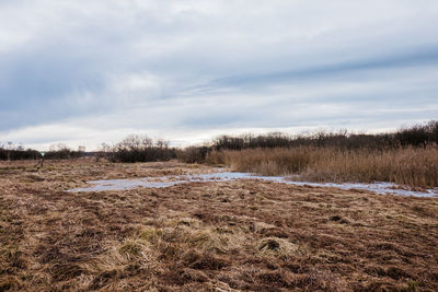 Scenic view of landscape against sky