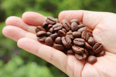 Closeup heap of roasted coffee beans in man's hand