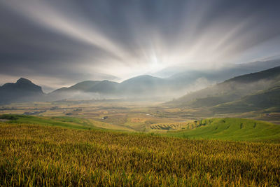 Scenic view of agricultural field against sky