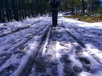 Low section of man standing on snow covered trees