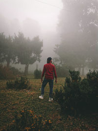 Rear view of man walking on street amidst trees