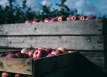 Close-up of apples in crate