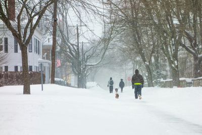 People walking on snow covered bare trees