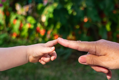 Cropped image of people touching fingers against trees