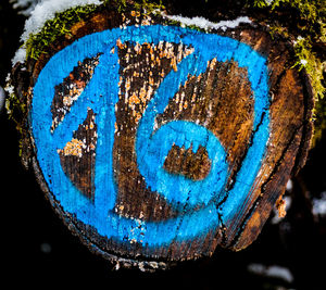 Close-up of rusty text on tree