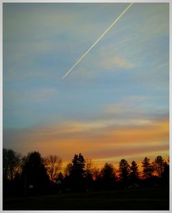 Silhouette trees against sky during sunset