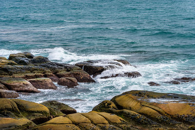 Scenic view of rocky beach