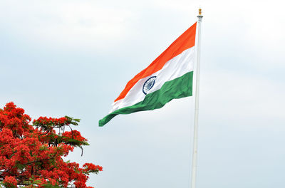 Low angle view of flag against sky