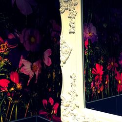 Close-up of red flowers