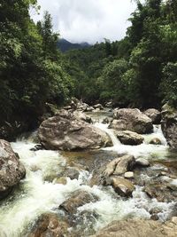Stream flowing through rocks in forest