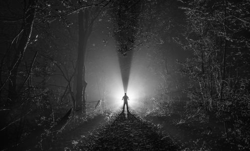 Silhouette person standing by tree in forest