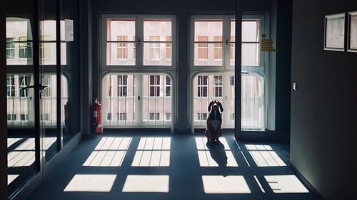 Rear view of woman walking in building