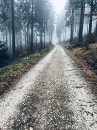 Dirt road amidst trees in forest