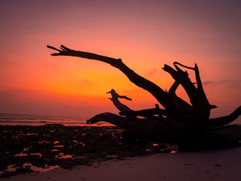 Silhouette driftwood on beach against sky during sunset