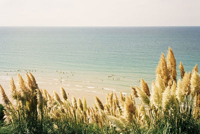 Scenic beach view in biarritz, france. shot on 35mm kodak film.