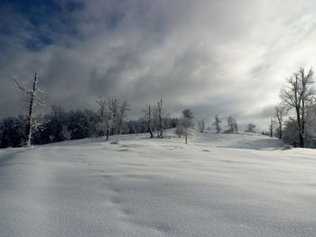 Scenic view of snow covered field against sky