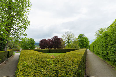 Scenic view of green landscape against sky