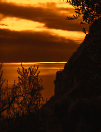 Silhouette trees by sea against orange sky