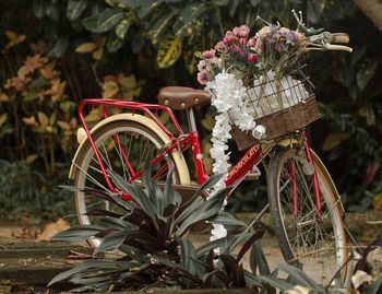 Flowers on basket of bicycle 