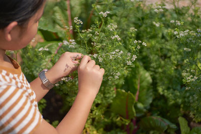 Midsection of a girl holding flowering plant