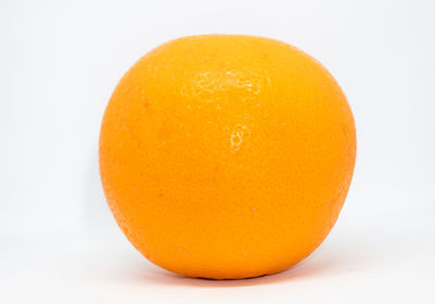 Close-up of orange fruit against white background