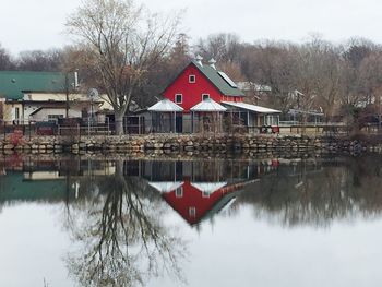 Reflection of trees in river