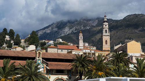 Palm trees and buildings against sky