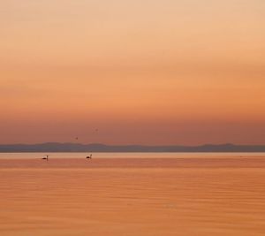 Scenic view of lake against orange sky orange sunset background nature nature scenic swans