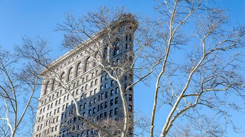 Low angle view of bare tree against building