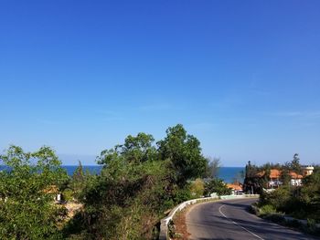 Road by trees against blue sky