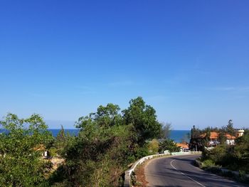 Road by trees against blue sky