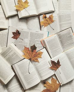 Directly above shot of open books with autumn leaves