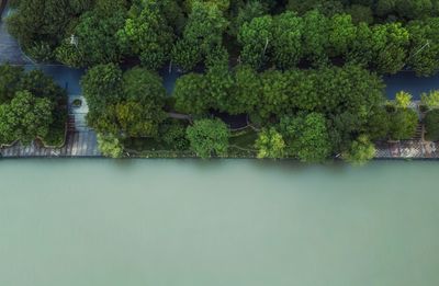 Scenic view of lake by trees