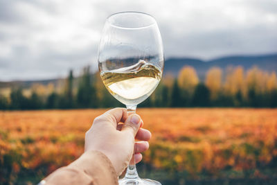 Cropped hand holding wineglass