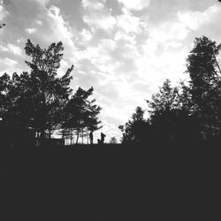 Silhouette trees on landscape against sky