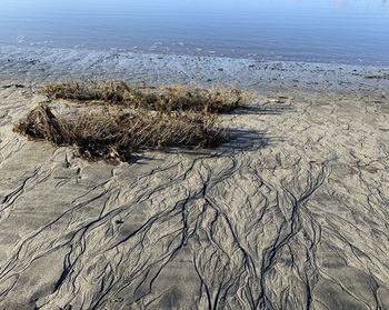 High angle view of sea shore