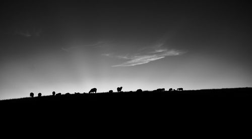 Low angle view of silhouette people on landscape against sky