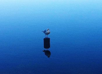 Close-up of water against blue sky