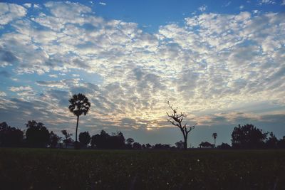 Scenic view of field against sky during sunset