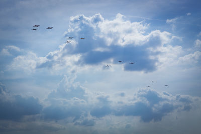 Low angle view of birds flying in sky