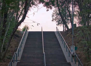 Steps and trees against sky