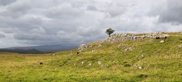 hill
