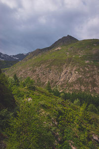 environment