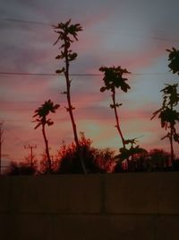 Silhouette trees against sky at sunset