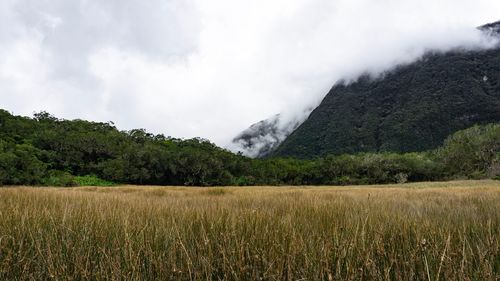 Scenic view of field against sky