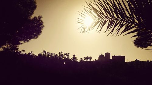 Low angle view of palm trees against sky at sunset