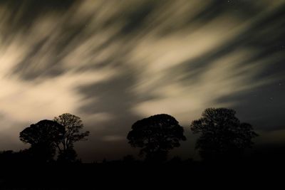 Low angle view of silhouette trees against sky at night