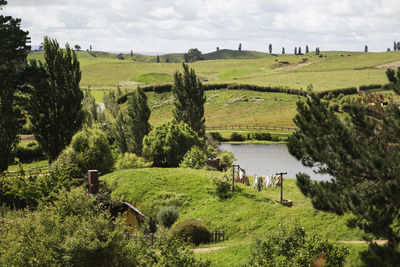 Scenic view of landscape against sky