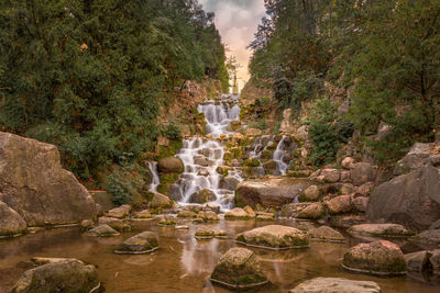 Scenic view of waterfall in forest