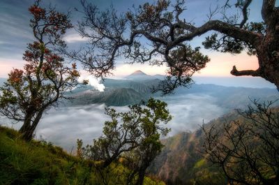 Scenic view of trees and mountains against sky at bromo mountain, indonesia